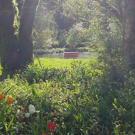 Bed & Breakfast Les De Liane 2*