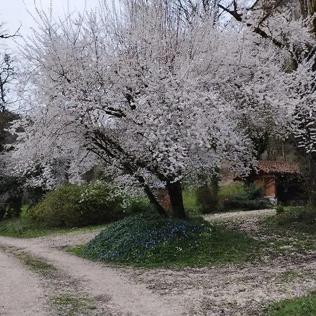 Bed & Breakfast Les De Liane 2*