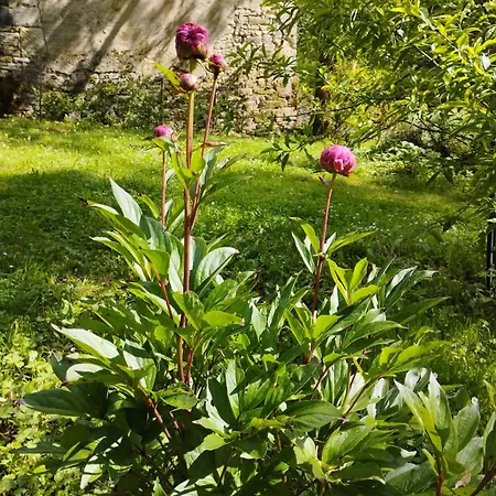 Bed & Breakfast Les De Liane 2*